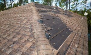 Storm damaged roof aerial view - ALTA SURVEY Tennessee Drone survey view showing storm-damaged shingles on a residential roof