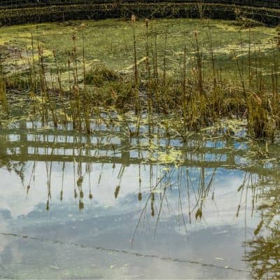 Stormwater retention basin designed as part of land development engineering for site drainage

