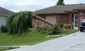 Fallen tree in front yard - ALTA SURVEY Tennessee Residential yard with a fallen tree after a storm, showing property line and boundary survey considerations