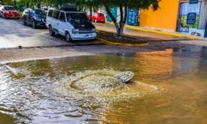 Water flowing from a street manhole showing civil engineering risk and underground infrastructure issues
